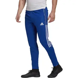 adidas: Спортивные брюки 