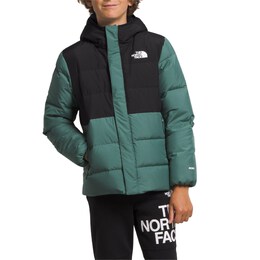 The North Face: Флисовый пуховик  Fleece