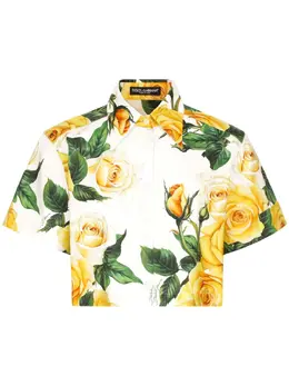 Dolce & Gabbana: Рубашка  Rose с принтом