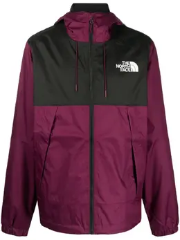 The North Face: Куртка Mountain Q с принтом