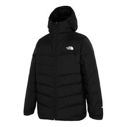 The North Face: Чёрная куртка  Nuptse