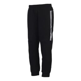 Adidas: Спортивные брюки 