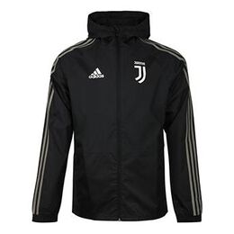 Adidas: Спортивная куртка 