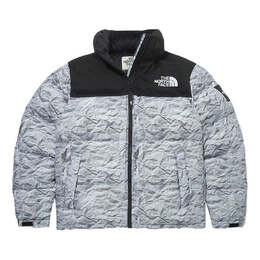 The North Face: Пуховик  Novelty Nuptse