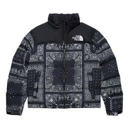 The North Face: Пуховик  Nuptse