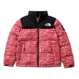 The North Face: Пуховик  Novelty Nuptse