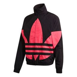 Adidas: Куртка  Originals с воротником