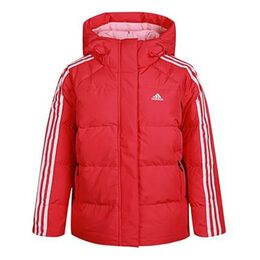 Adidas: Куртка с капюшоном 