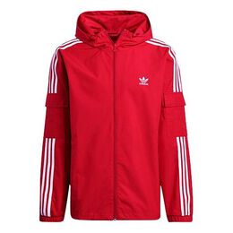 Adidas: Куртка  Originals в полоску