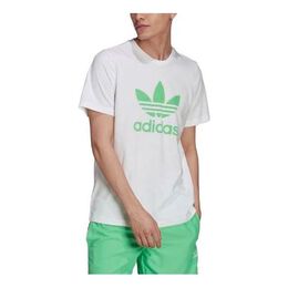 Adidas: Белая футболка  Adicolor Classics