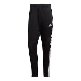 Adidas: Спортивные брюки  Tiro