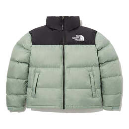 The North Face: Чёрная куртка  Nuptse