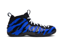 Nike: Синие кроссовки  Air Foamposite One