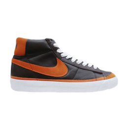 Nike: Коричневые кроссовки  Blazer SB