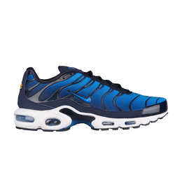 Nike: Синие кроссовки  Air Max Plus TN