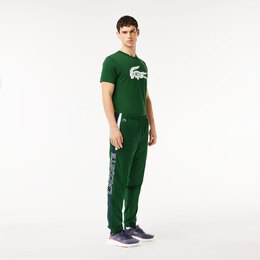 Lacoste: Брюки джоггеры 