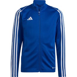 Adidas: Синяя куртка 