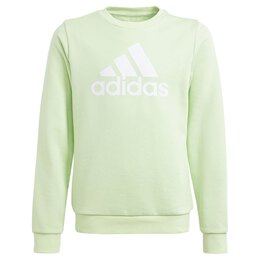 Adidas: Зелёная толстовка  Essentials