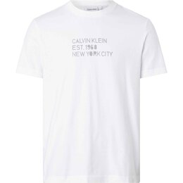 Calvin Klein: Футболка с принтом 