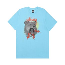 Stussy: Зелёная футболка 