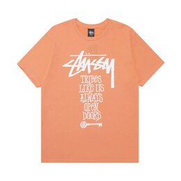 Stussy: Красная футболка 