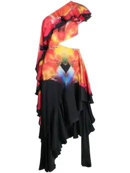 Alexander McQueen: Платье с принтом 