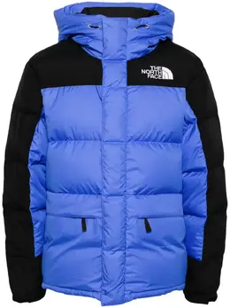 The North Face: Голубая куртка  Himalayan