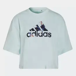 Adidas Originals: Спортивная футболка 