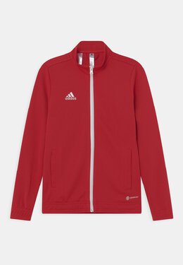 Adidas: Спортивная куртка 