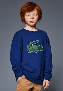 Lacoste: Толстовка 