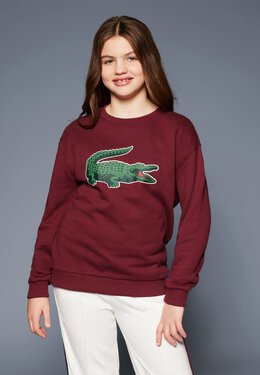 Lacoste: Толстовка 