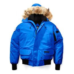 Canada Goose: Пуховик с капюшоном 