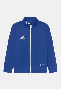 Adidas: Спортивная куртка 