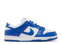 Nike: Синие кроссовки  Dunk Low Retro