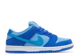 Nike: Голубые кроссовки  Dunk Low Pro SB