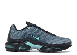 Nike: Серые кроссовки  Air Max Plus