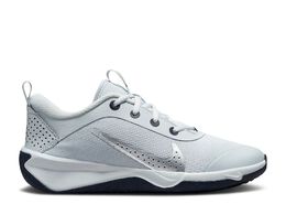 Nike: Серебристые кроссовки  Pure Platinum