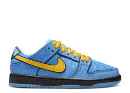 Nike: Синие кроссовки  Dunk Low Pro SB