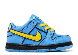 Nike: Синие кроссовки  Dunk Low Pro SB