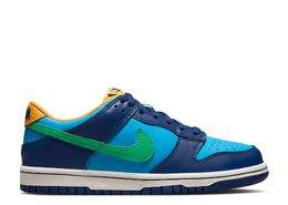 Nike: Синие кроссовки  Dunk Low