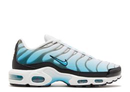 Nike: Голубые кроссовки  Air Max Plus