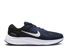 Nike: Синие кроссовки  Air Zoom