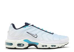 Nike: Голубые кроссовки  Air Max Plus