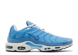 Nike: Голубые кроссовки  Air Max Plus