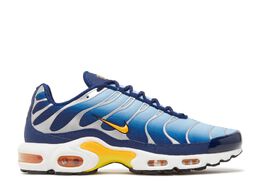 Nike: Голубые кроссовки  Air Max Plus