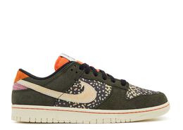 Nike: Радужные кроссовки  Dunk Low SE