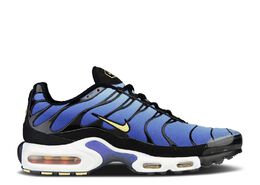 Nike: Голубые кроссовки  Air Max Plus