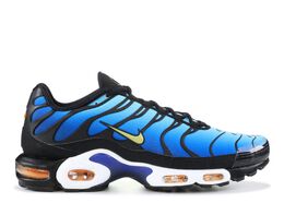 Nike: Голубые кроссовки  Air Max Plus