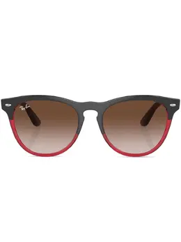 Ray-Ban: Очки 