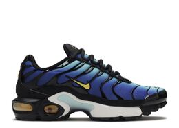 Nike: Голубые кроссовки  Air Max Plus